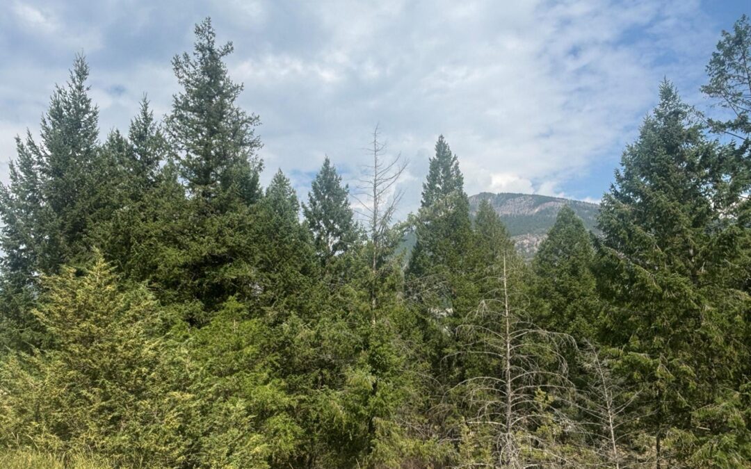 Lot 17 COPPER POINT WAY